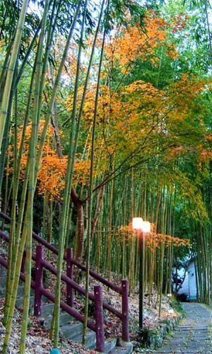 Da Kuan Peach Farm Resort Hualing 외부 사진